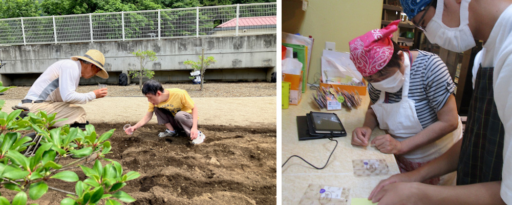 田園調布学園大学 みらいこども園